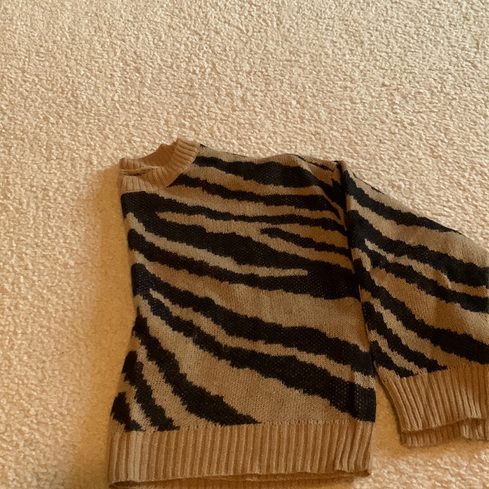 American Eagle sweater